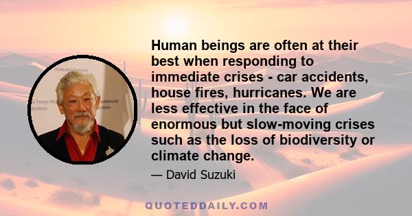 Human beings are often at their best when responding to immediate crises - car accidents, house fires, hurricanes. We are less effective in the face of enormous but slow-moving crises such as the loss of biodiversity or 