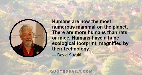 Humans are now the most numerous mammal on the planet. There are more humans than rats or mice. Humans have a huge ecological footprint, magnified by their technology.