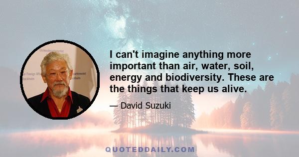 I can't imagine anything more important than air, water, soil, energy and biodiversity. These are the things that keep us alive.