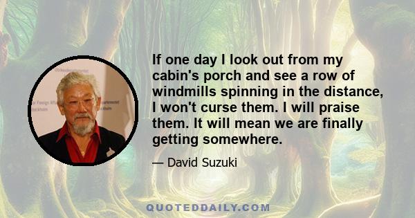 If one day I look out from my cabin's porch and see a row of windmills spinning in the distance, I won't curse them. I will praise them. It will mean we are finally getting somewhere.