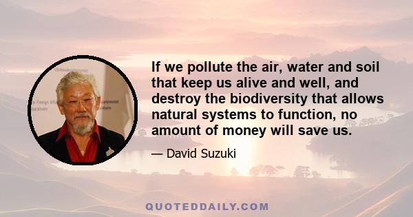 If we pollute the air, water and soil that keep us alive and well, and destroy the biodiversity that allows natural systems to function, no amount of money will save us.