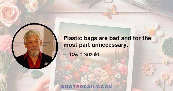 Plastic bags are bad and for the most part unnecessary.