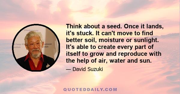 Think about a seed. Once it lands, it's stuck. It can't move to find better soil, moisture or sunlight. It's able to create every part of itself to grow and reproduce with the help of air, water and sun.