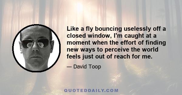 Like a fly bouncing uselessly off a closed window, I'm caught at a moment when the effort of finding new ways to perceive the world feels just out of reach for me.