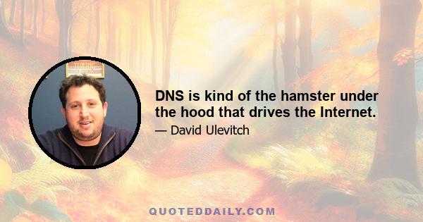 DNS is kind of the hamster under the hood that drives the Internet.