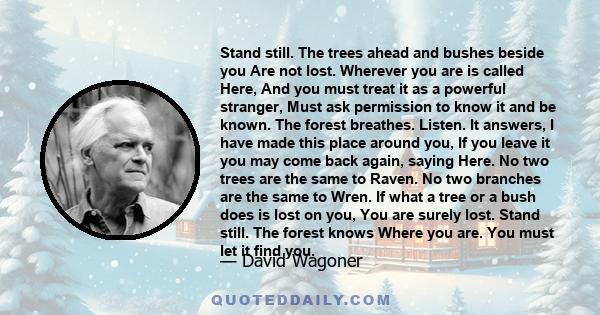 Stand still. The trees ahead and bushes beside you Are not lost. Wherever you are is called Here, And you must treat it as a powerful stranger, Must ask permission to know it and be known. The forest breathes. Listen.