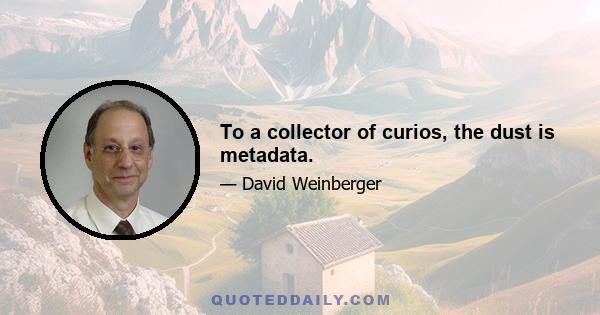 To a collector of curios, the dust is metadata.