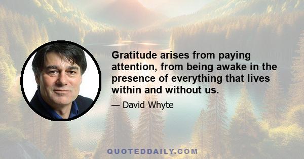 Gratitude arises from paying attention, from being awake in the presence of everything that lives within and without us.