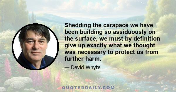 Shedding the carapace we have been building so assiduously on the surface, we must by definition give up exactly what we thought was necessary to protect us from further harm.