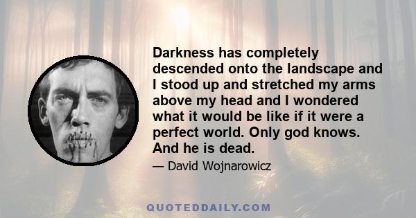 Darkness has completely descended onto the landscape and I stood up and stretched my arms above my head and I wondered what it would be like if it were a perfect world. Only god knows. And he is dead.