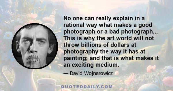 No one can really explain in a rational way what makes a good photograph or a bad photograph... This is why the art world will not throw billions of dollars at photography the way it has at painting; and that is what