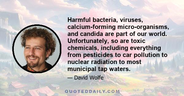 Harmful bacteria, viruses, calcium-forming micro-organisms, and candida are part of our world. Unfortunately, so are toxic chemicals, including everything from pesticides to car pollution to nuclear radiation to most