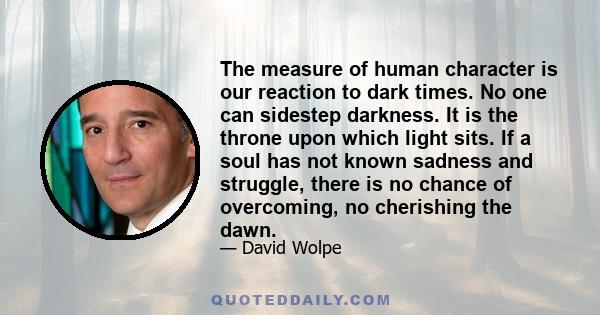 The measure of human character is our reaction to dark times. No one can sidestep darkness. It is the throne upon which light sits. If a soul has not known sadness and struggle, there is no chance of overcoming, no