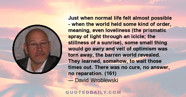 Just when normal life felt almost possible - when the world held some kind of order, meaning, even loveliness (the prismatic spray of light through an icicle; the stillness of a sunrise), some small thing would go awry