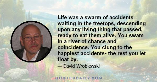 Life was a swarm of accidents waiting in the treetops, descending upon any living thing that passed, ready to eat them alive. You swam in a river of chance and coincidence. You clung to the happiest accidents- the rest