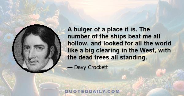 A bulger of a place it is. The number of the ships beat me all hollow, and looked for all the world like a big clearing in the West, with the dead trees all standing.