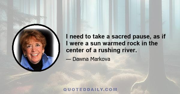 I need to take a sacred pause, as if I were a sun warmed rock in the center of a rushing river.