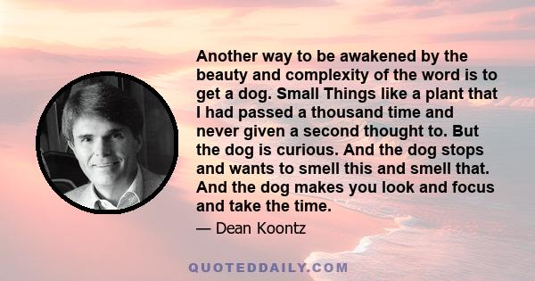 Another way to be awakened by the beauty and complexity of the word is to get a dog. Small Things like a plant that I had passed a thousand time and never given a second thought to. But the dog is curious. And the dog