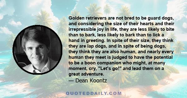 Golden retrievers are not bred to be guard dogs, and considering the size of their hearts and their irrepressible joy in life, they are less likely to bite than to bark, less likely to bark than to lick a hand in