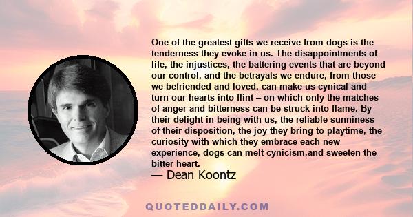 One of the greatest gifts we receive from dogs is the tenderness they evoke in us. The disappointments of life, the injustices, the battering events that are beyond our control, and the betrayals we endure, from those