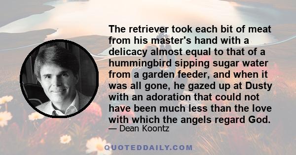 The retriever took each bit of meat from his master's hand with a delicacy almost equal to that of a hummingbird sipping sugar water from a garden feeder, and when it was all gone, he gazed up at Dusty with an adoration 