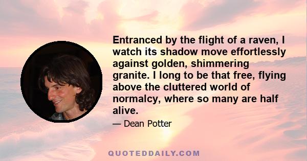 Entranced by the flight of a raven, I watch its shadow move effortlessly against golden, shimmering granite. I long to be that free, flying above the cluttered world of normalcy, where so many are half alive.