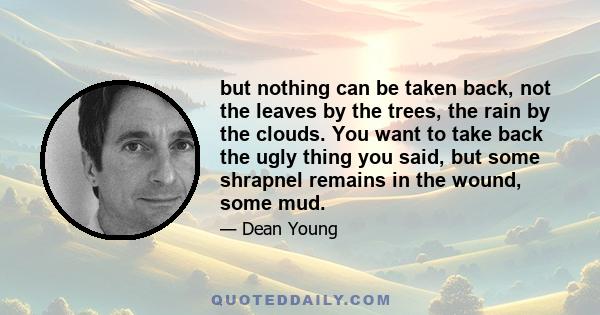 but nothing can be taken back, not the leaves by the trees, the rain by the clouds. You want to take back the ugly thing you said, but some shrapnel remains in the wound, some mud.