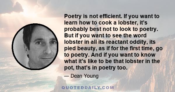 Poetry is not efficient. If you want to learn how to cook a lobster, it’s probably best not to look to poetry. But if you want to see the word lobster in all its reactant oddity, its pied beauty, as if for the first