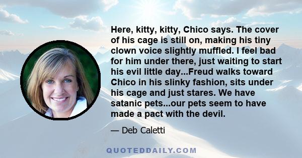 Here, kitty, kitty, Chico says. The cover of his cage is still on, making his tiny clown voice slightly muffled. I feel bad for him under there, just waiting to start his evil little day...Freud walks toward Chico in