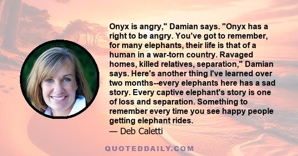 Onyx is angry, Damian says. Onyx has a right to be angry. You've got to remember, for many elephants, their life is that of a human in a war-torn country. Ravaged homes, killed relatives, separation, Damian says. Here's 