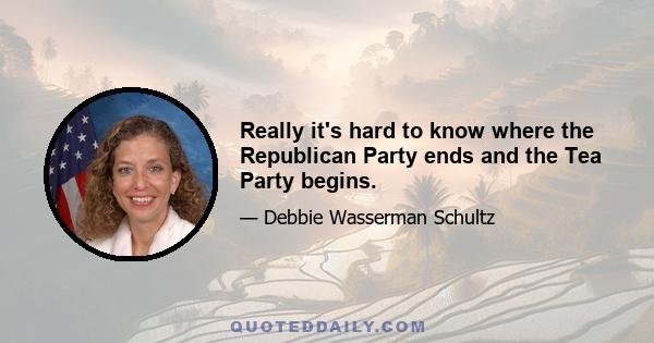 Really it's hard to know where the Republican Party ends and the Tea Party begins.