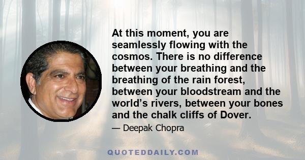 At this moment, you are seamlessly flowing with the cosmos. There is no difference between your breathing and the breathing of the rain forest, between your bloodstream and the world’s rivers, between your bones and the 