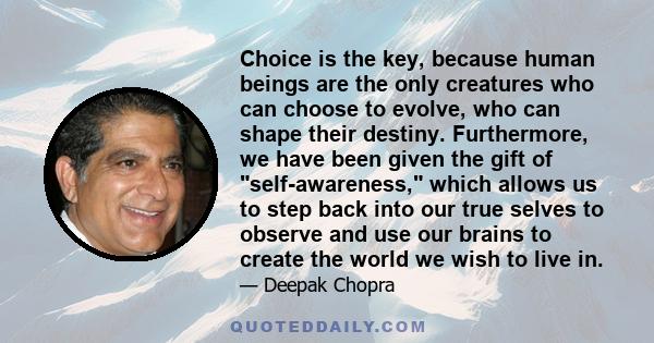 Choice is the key, because human beings are the only creatures who can choose to evolve, who can shape their destiny. Furthermore, we have been given the gift of self-awareness, which allows us to step back into our