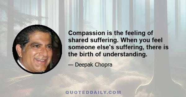 Compassion is the feeling of shared suffering. When you feel someone else's suffering, there is the birth of understanding.