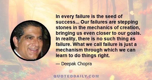 In every failure is the seed of success... Our failures are stepping stones in the mechanics of creation, bringing us even closer to our goals. In reality, there is no such thing as failure. What we call failure is just 