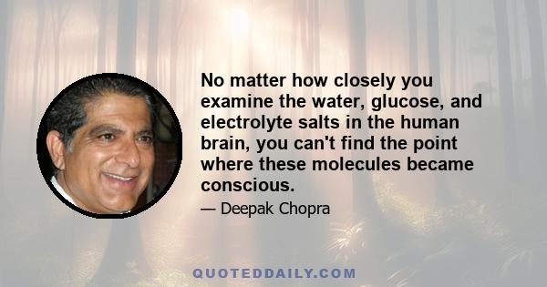 No matter how closely you examine the water, glucose, and electrolyte salts in the human brain, you can't find the point where these molecules became conscious.