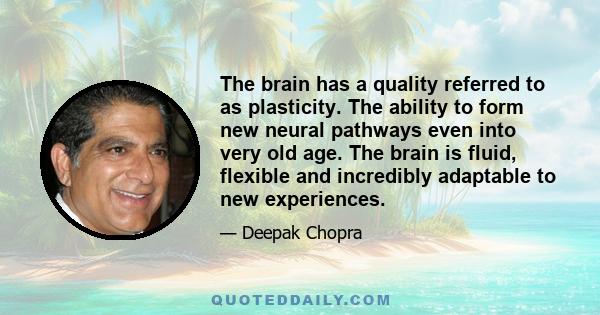 The brain has a quality referred to as plasticity. The ability to form new neural pathways even into very old age. The brain is fluid, flexible and incredibly adaptable to new experiences.