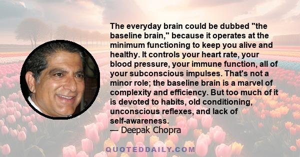 The everyday brain could be dubbed the baseline brain, because it operates at the minimum functioning to keep you alive and healthy. It controls your heart rate, your blood pressure, your immune function, all of your