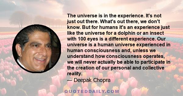 The universe is in the experience. It's not just out there. What's out there, we don't know. But for humans it's an experience just like the universe for a dolphin or an insect with 100 eyes is a different experience.