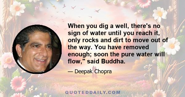 When you dig a well, there's no sign of water until you reach it, only rocks and dirt to move out of the way. You have removed enough; soon the pure water will flow, said Buddha.