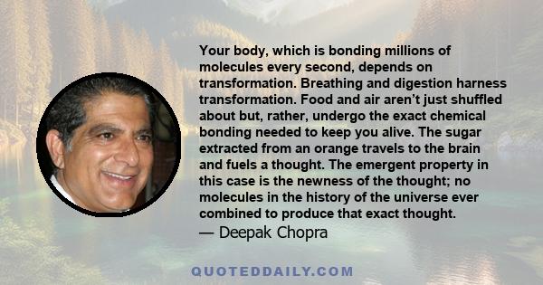 Your body, which is bonding millions of molecules every second, depends on transformation. Breathing and digestion harness transformation. Food and air aren’t just shuffled about but, rather, undergo the exact chemical