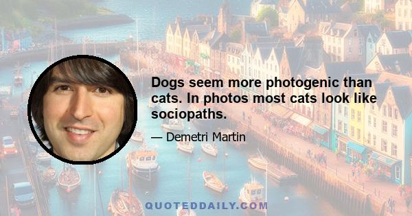 Dogs seem more photogenic than cats. In photos most cats look like sociopaths.