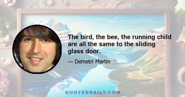 The bird, the bee, the running child are all the same to the sliding glass door.