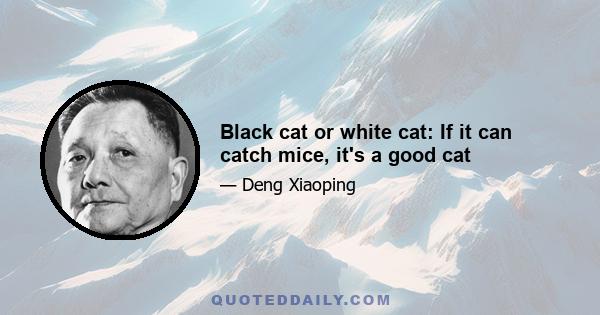 Black cat or white cat: If it can catch mice, it's a good cat