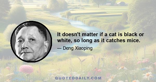 It doesn't matter if a cat is black or white, so long as it catches mice.