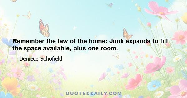 Remember the law of the home: Junk expands to fill the space available, plus one room.