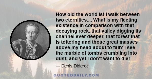 How old the world is! I walk between two eternities.... What is my fleeting existence in comparison with that decaying rock, that valley digging its channel ever deeper, that forest that is tottering and those great