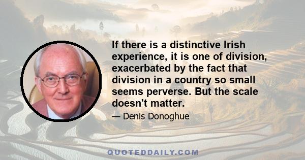 If there is a distinctive Irish experience, it is one of division, exacerbated by the fact that division in a country so small seems perverse. But the scale doesn't matter.