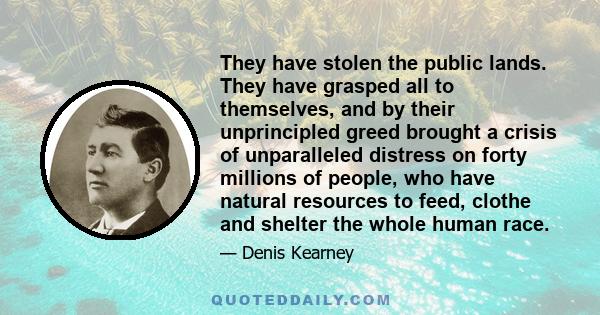 They have stolen the public lands. They have grasped all to themselves, and by their unprincipled greed brought a crisis of unparalleled distress on forty millions of people, who have natural resources to feed, clothe