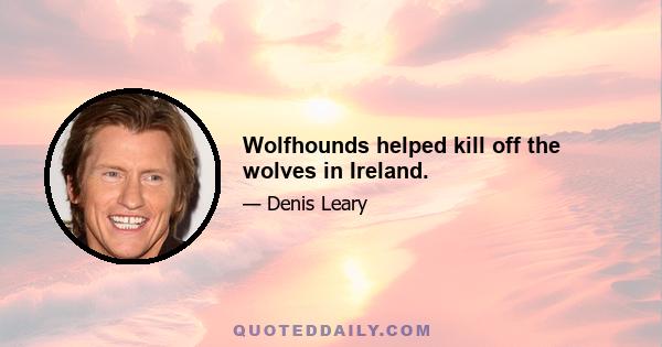 Wolfhounds helped kill off the wolves in Ireland.